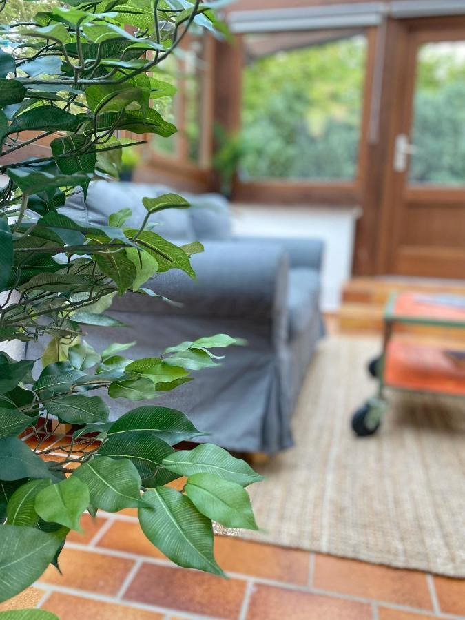 Ferienwohnung Mit Sauna Am Wald - Eifel Mechernich Eksteriør bilde